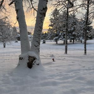 Meet your Posher, Alexa